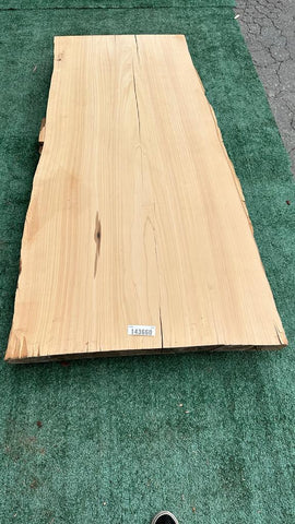 Monterey Cypress #143660