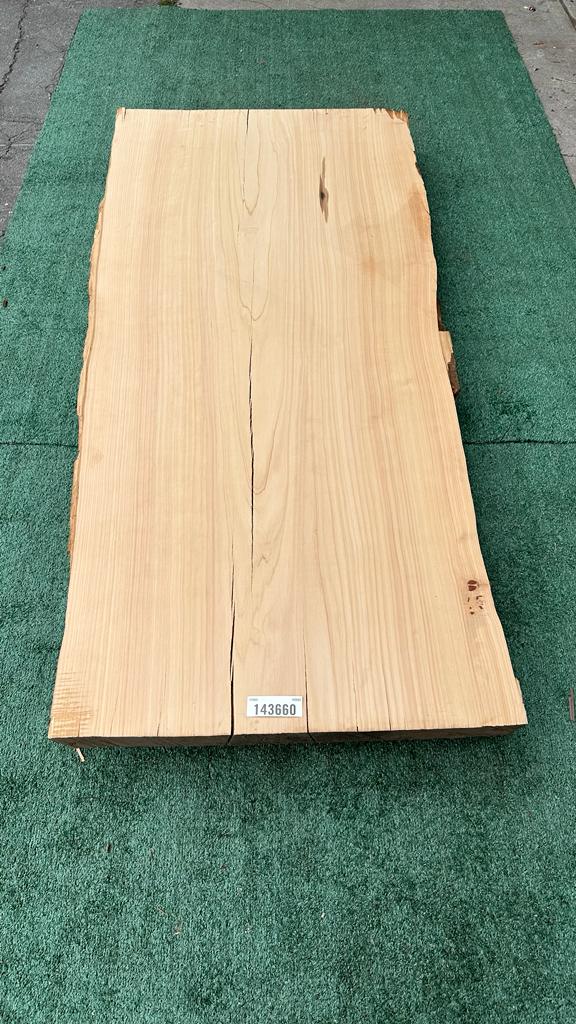 Monterey Cypress #143660