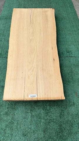 Monterey Cypress #143661