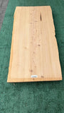 Monterey Cypress #143662