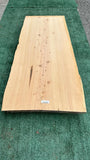Monterey Cypress #143662