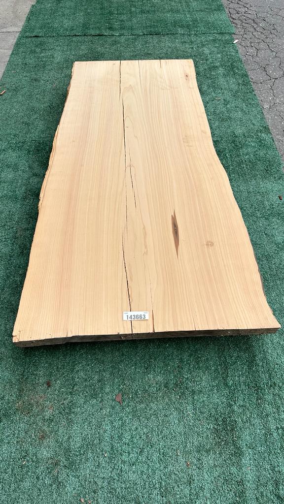 Monterey Cypress #143663