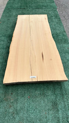 Monterey Cypress #143663