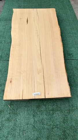 Monterey Cypress #143664