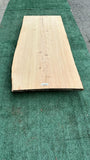 Monterey Cypress #143664