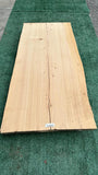Monterey Cypress #143665