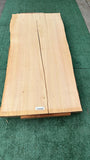 Monterey Cypress #143666