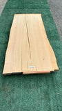 Monterey Cypress #143666
