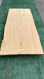 Monterey Cypress #143667
