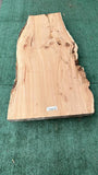 Monterey Cypress #143670