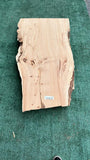 Monterey Cypress #143670