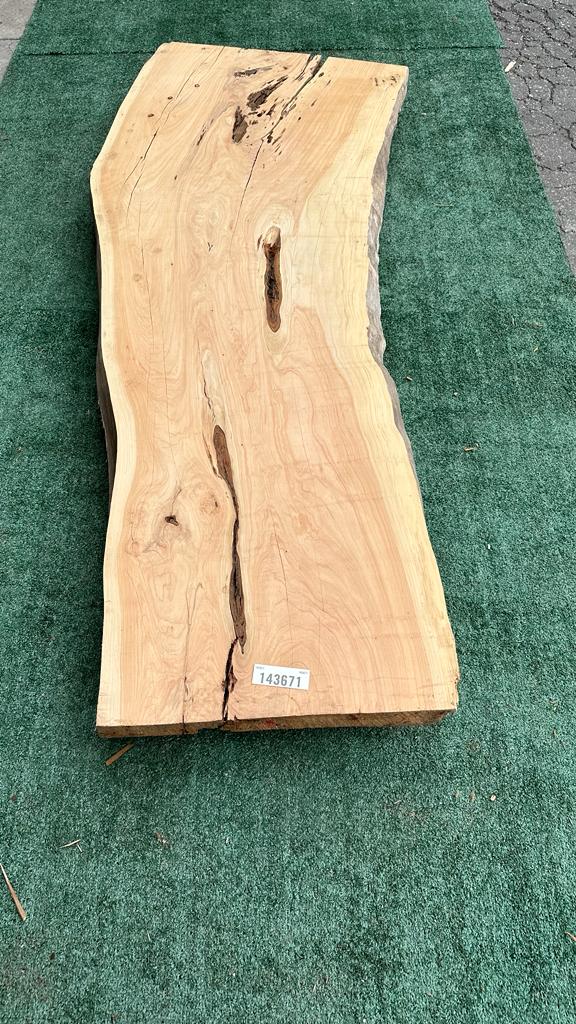 Monterey Cypress #143671