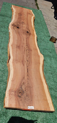 Old Growth Redwood #143697