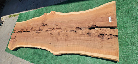 Old Growth Redwood # 143698