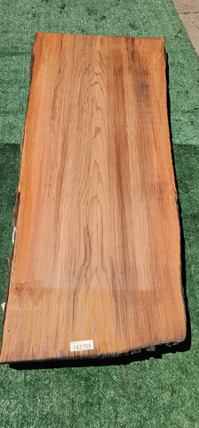 Old Growth Redwood # 143709