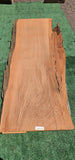 Old Growth Redwood #143710