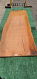 Old Growth Redwood #143711