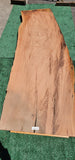 Old Growth Redwood #143713
