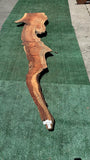 Curly Grain Redwood #143718