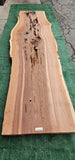 Old Growth Redwood # 143772