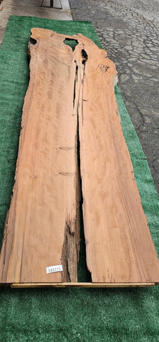 Old Growth Redwood # 143773