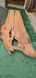 Old Growth Redwood # 143773