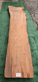 Old Growth Redwood # 143775