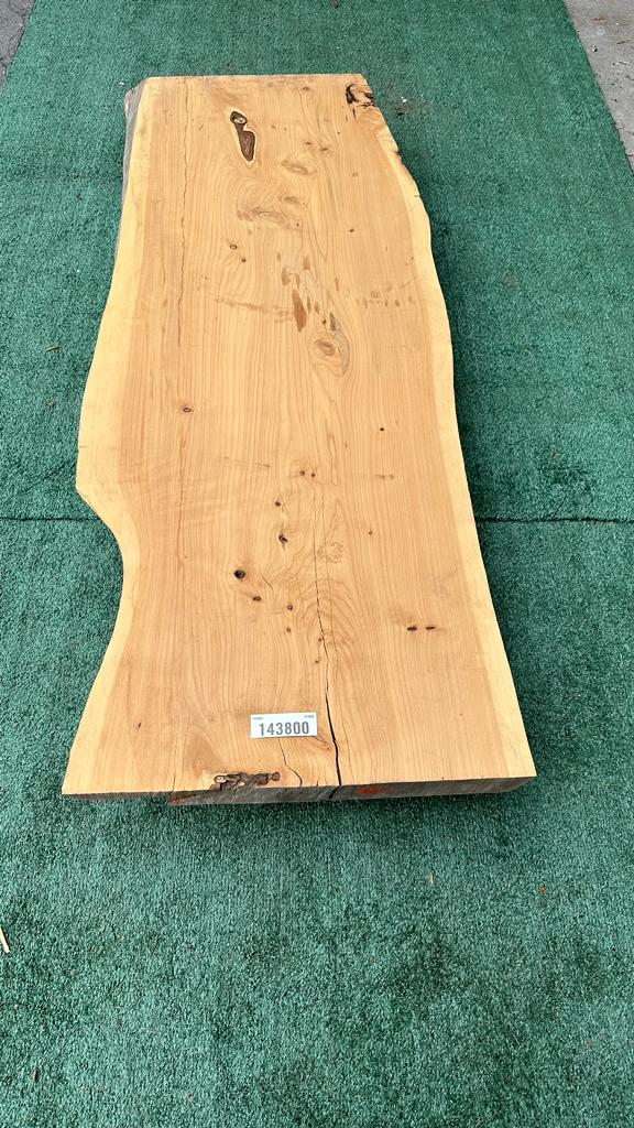 Monterey Cypress #143800