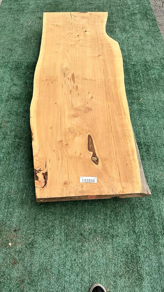 Monterey Cypress #143800