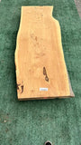 Monterey Cypress #143800