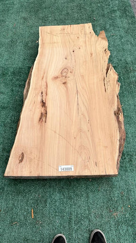 Monterey Cypress #143809