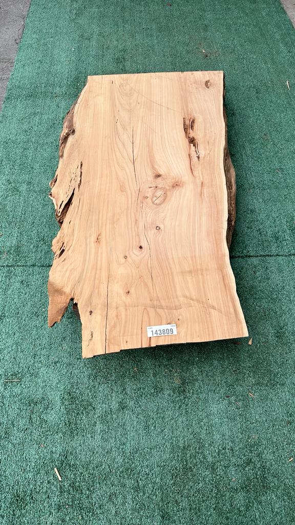 Monterey Cypress #143809