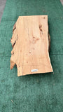 Monterey Cypress #143809
