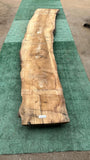 Bay Laurel #143836