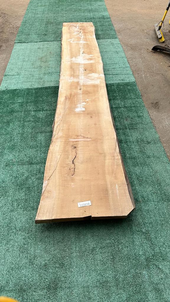 Bay Laurel #143838