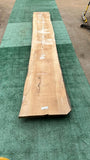 Bay Laurel #143838