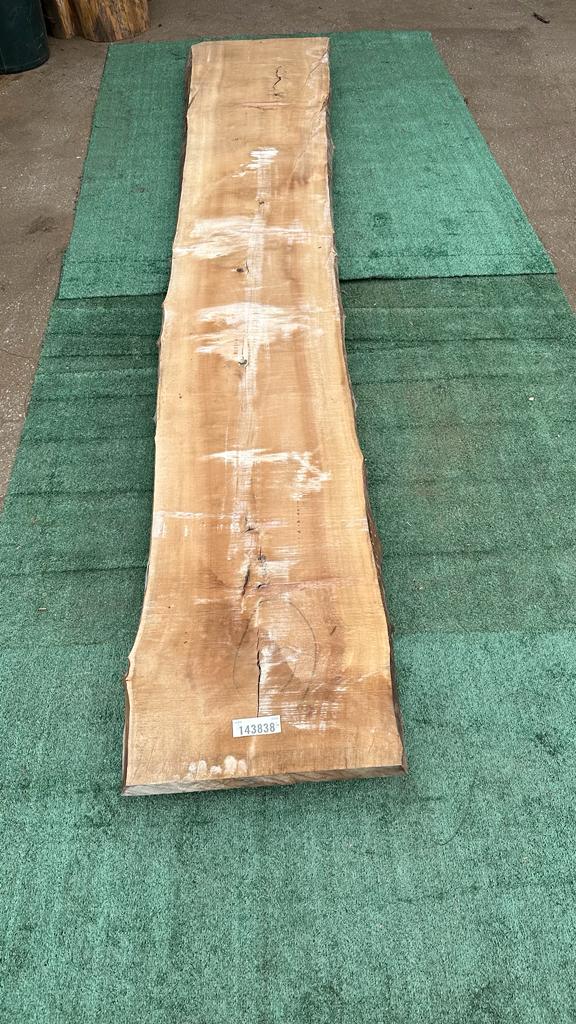 Bay Laurel #143838