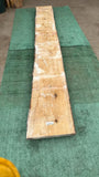 Bay Laurel #143842