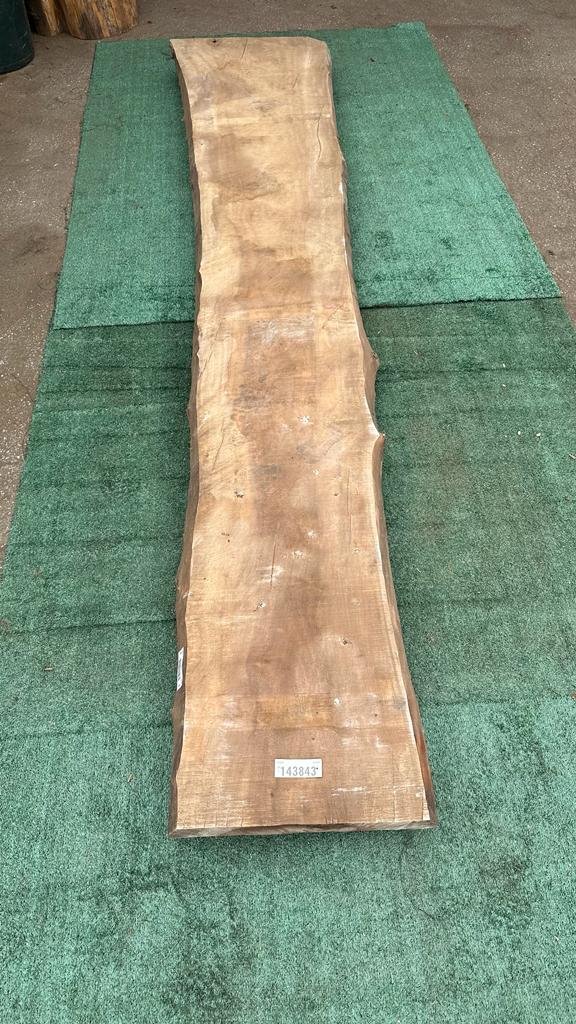 Bay Laurel #143843