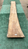 Bay Laurel #143844