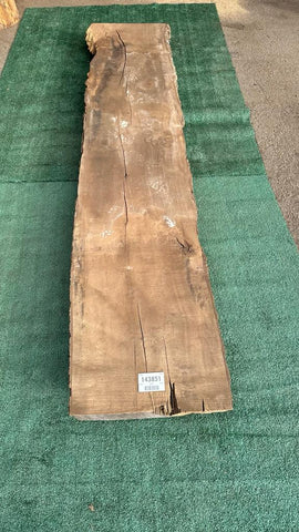 Bay Laurel #143851