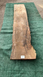 Bay Laurel #143851