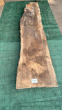 Bay Laurel # 143852