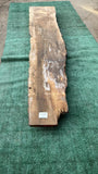 Bay Laurel # 143852