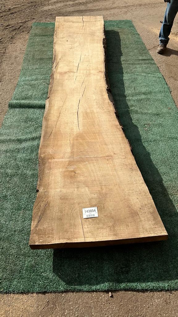 Bay Laurel # 143854