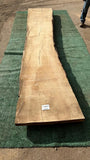 Bay Laurel # 143854