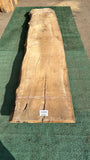 Bay Laurel # 143855
