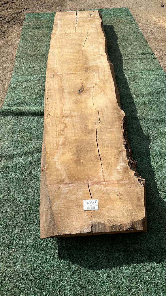 Bay Laurel # 143855