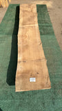 Bay Laurel # 143856