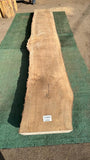 Bay Laurel # 143858